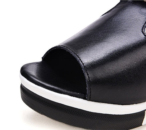 Aura | Cuir éclatant